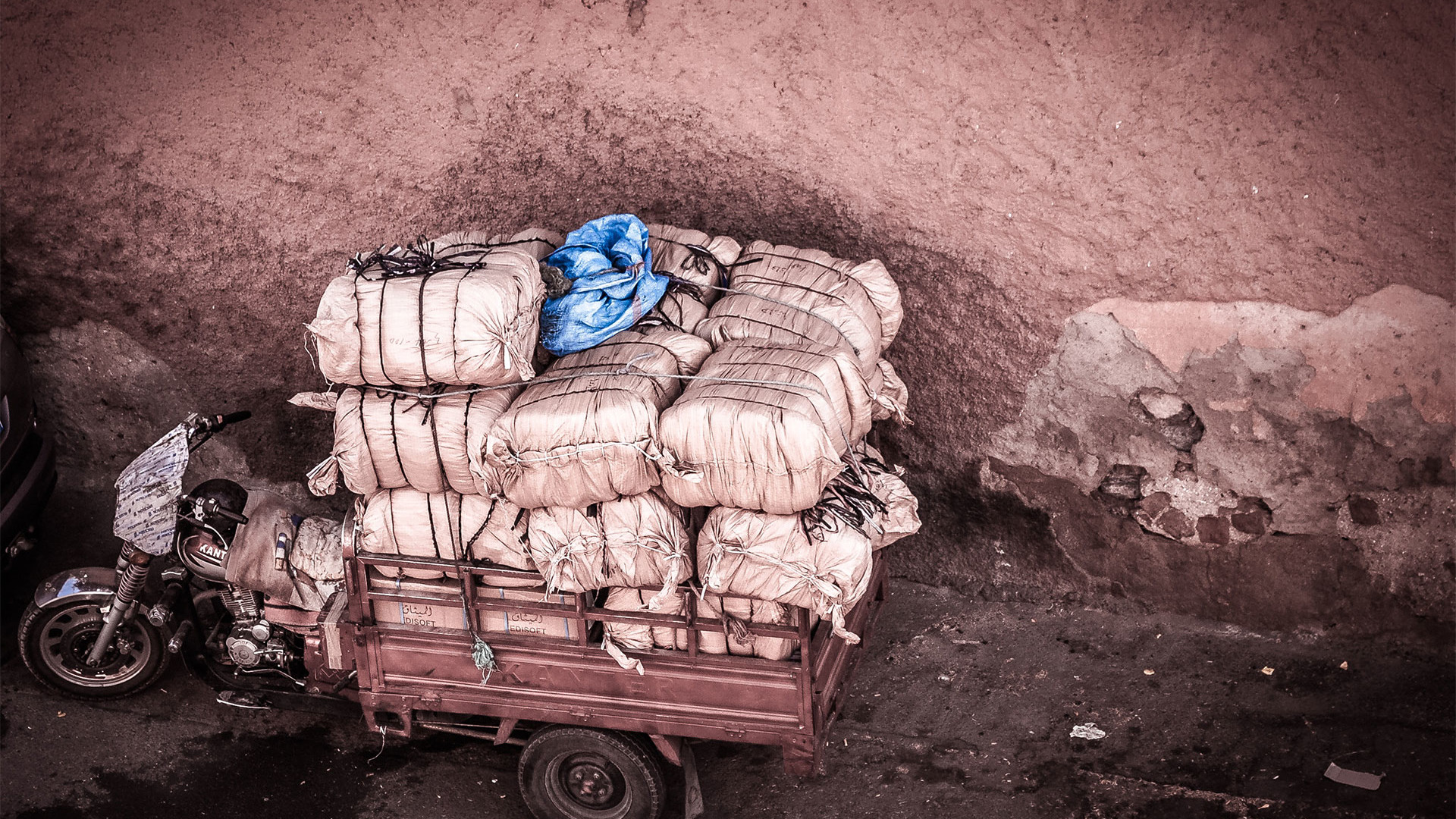 Use Online Shipping to Build Customer Loyalty, SeaMonster Studios