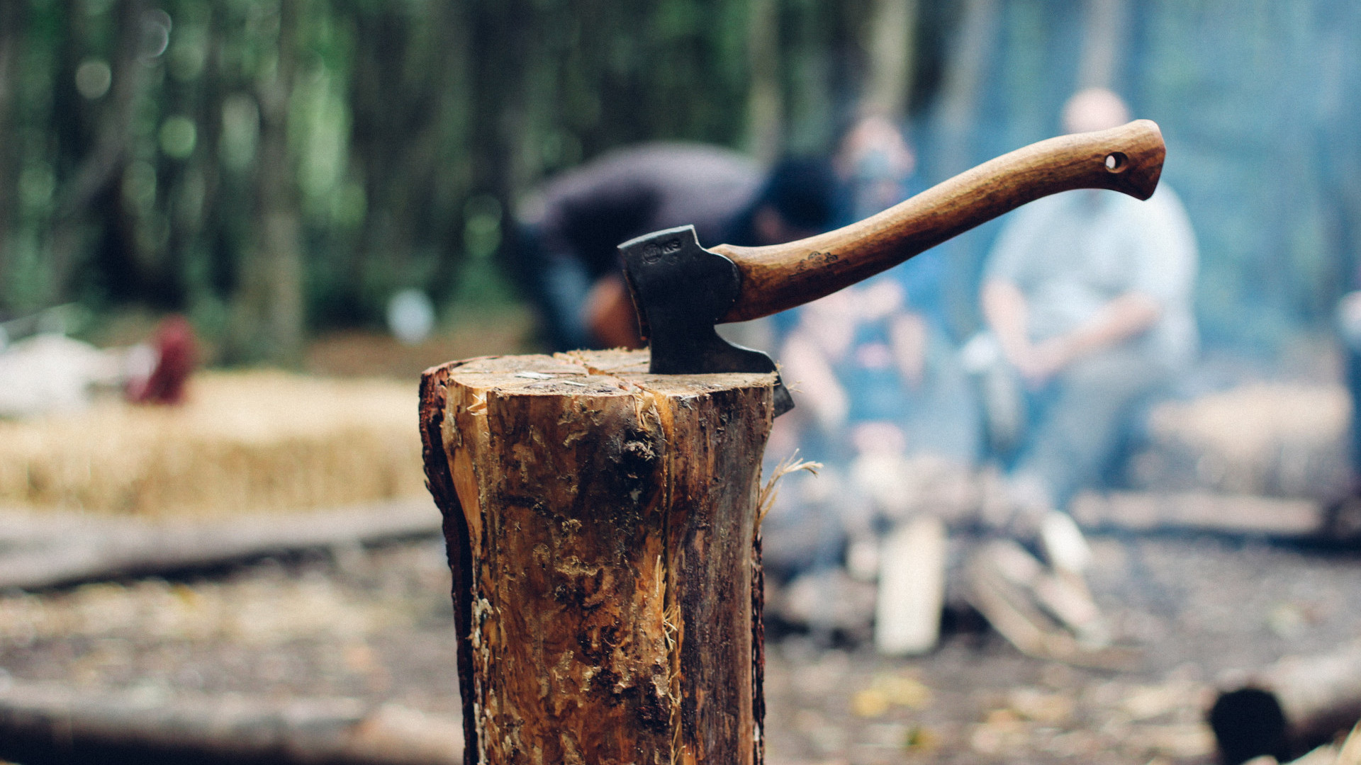hatchet buried into a stump