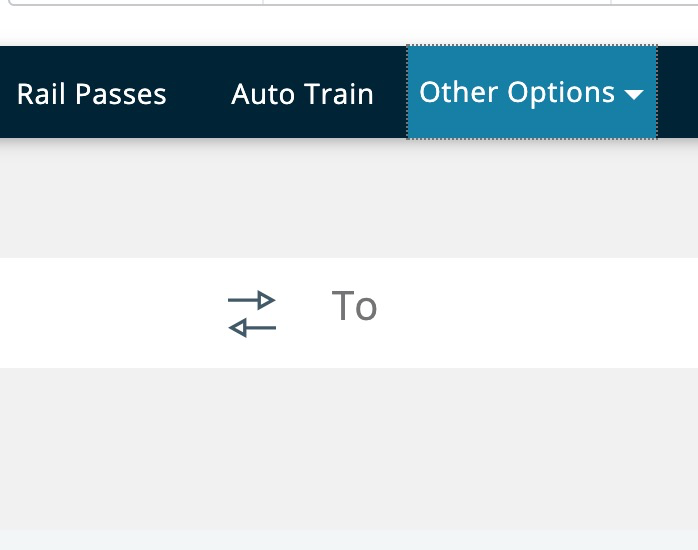 Amtrak's menu on focus: dropdown menu is highlit, but not dropped down