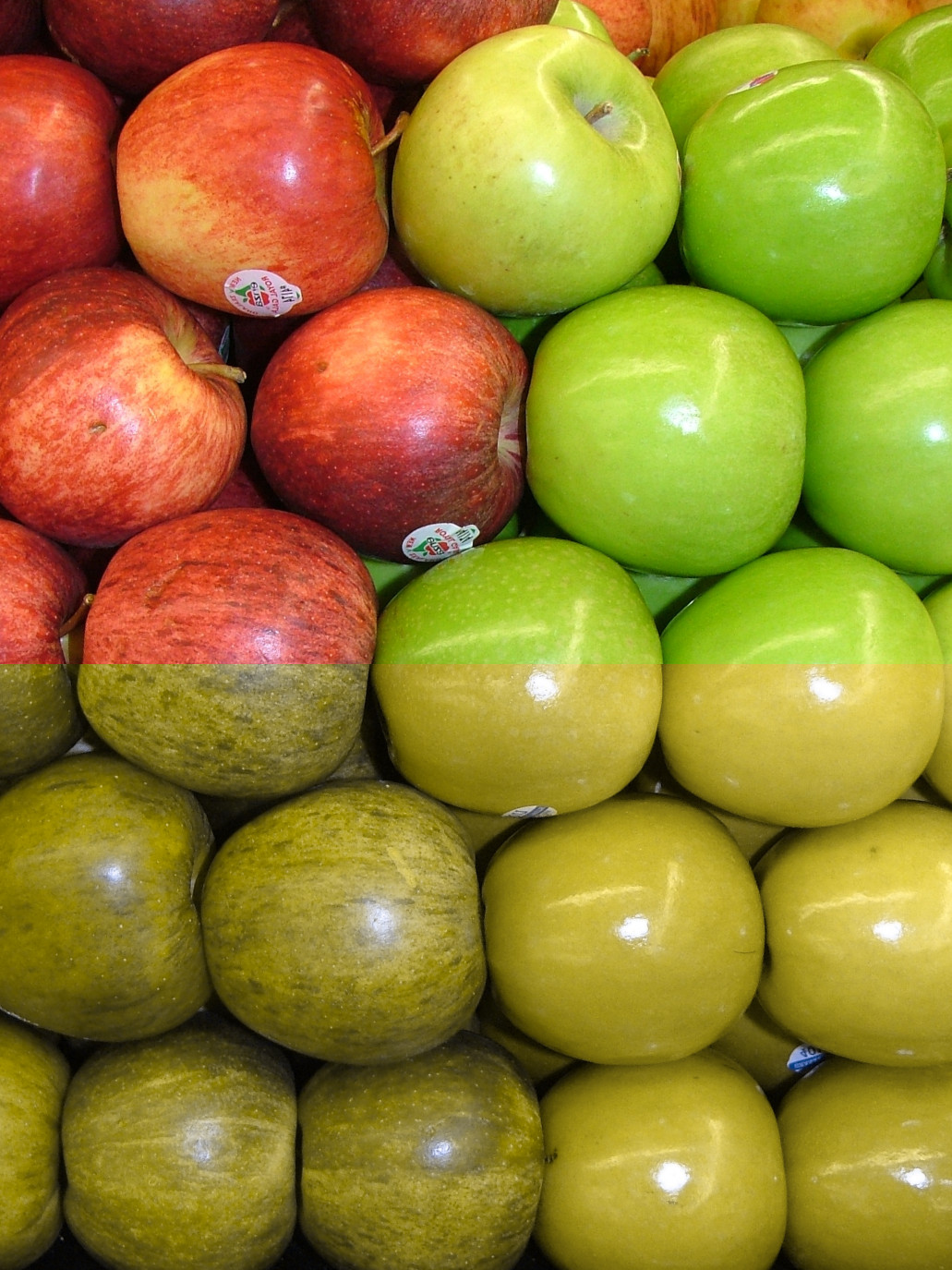 image of red and green apples, with simulated colorblindness on bottom half, making the apples appear uniformly green