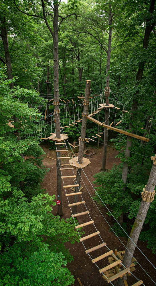 picturesque woods with ropes, rope ladders, and rope bridges going from tree to tree all over the woods