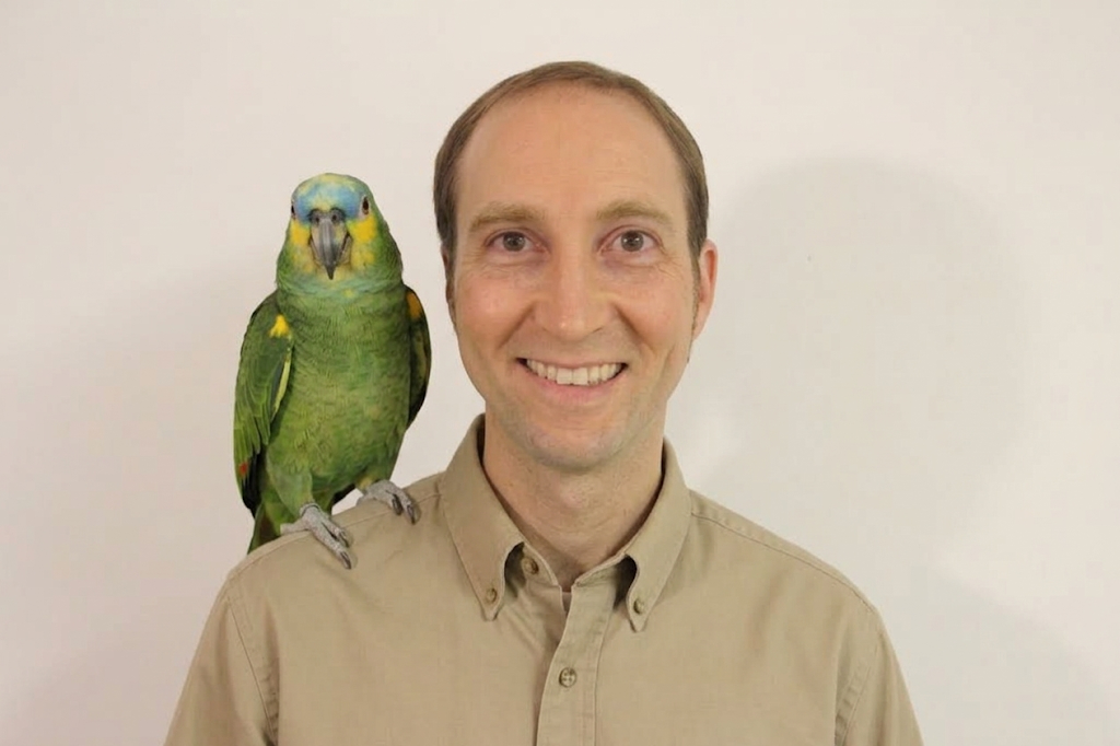 Author contact details and logo for the Polly Alt WordPress plugin